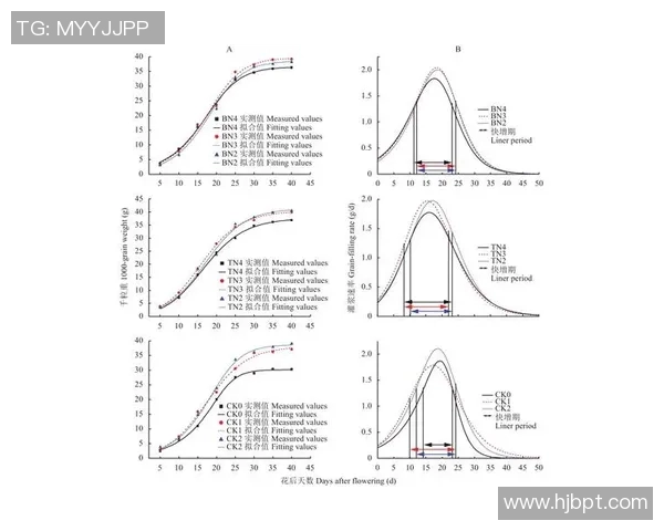 杭州飞盘队中路突破分析及其对比赛结果的影响探讨
